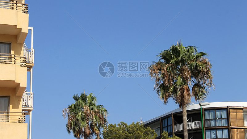 冬令营营地的选择至关重要。家长在考察营地时，要关注以下方面：